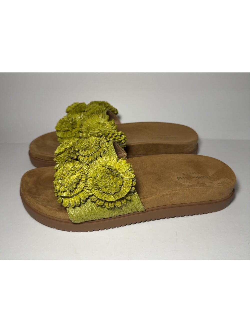 Charles David Sport Palm Slide Sandals Lime Floral Raffia
